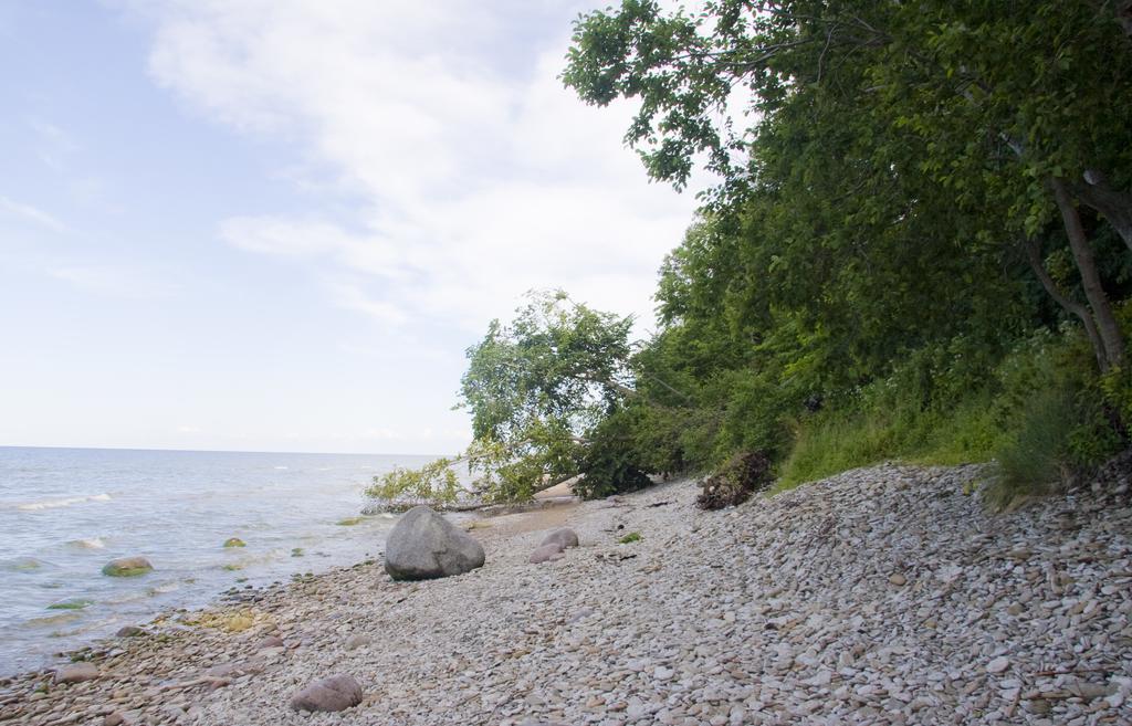 Camping Maennisalu Тойла Экстерьер фото